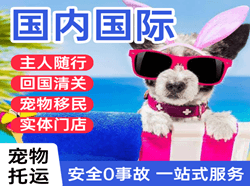 重庆仙女山航空物流国际宠物托运 【国